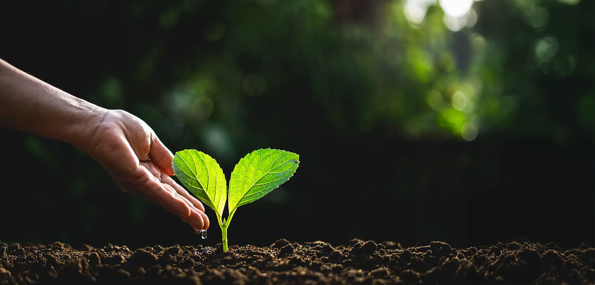  معًا نصنع الأثر 