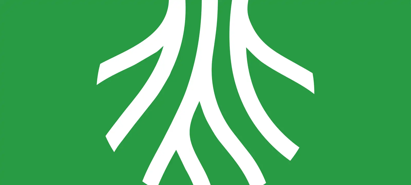 صورة الفعالية